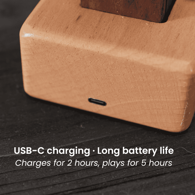 Artisan Wooden Manta Ray Automaton